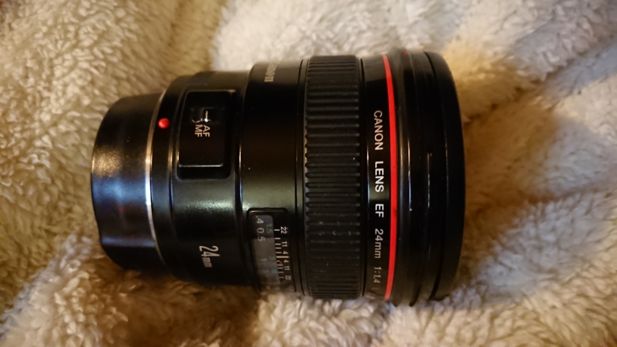 canon 24mm 1.4